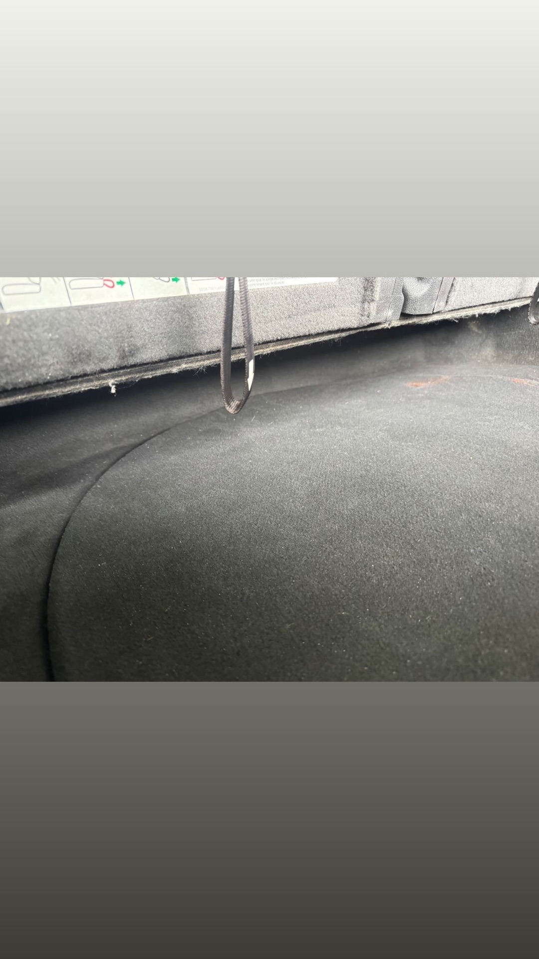 Carpet Shampoo after