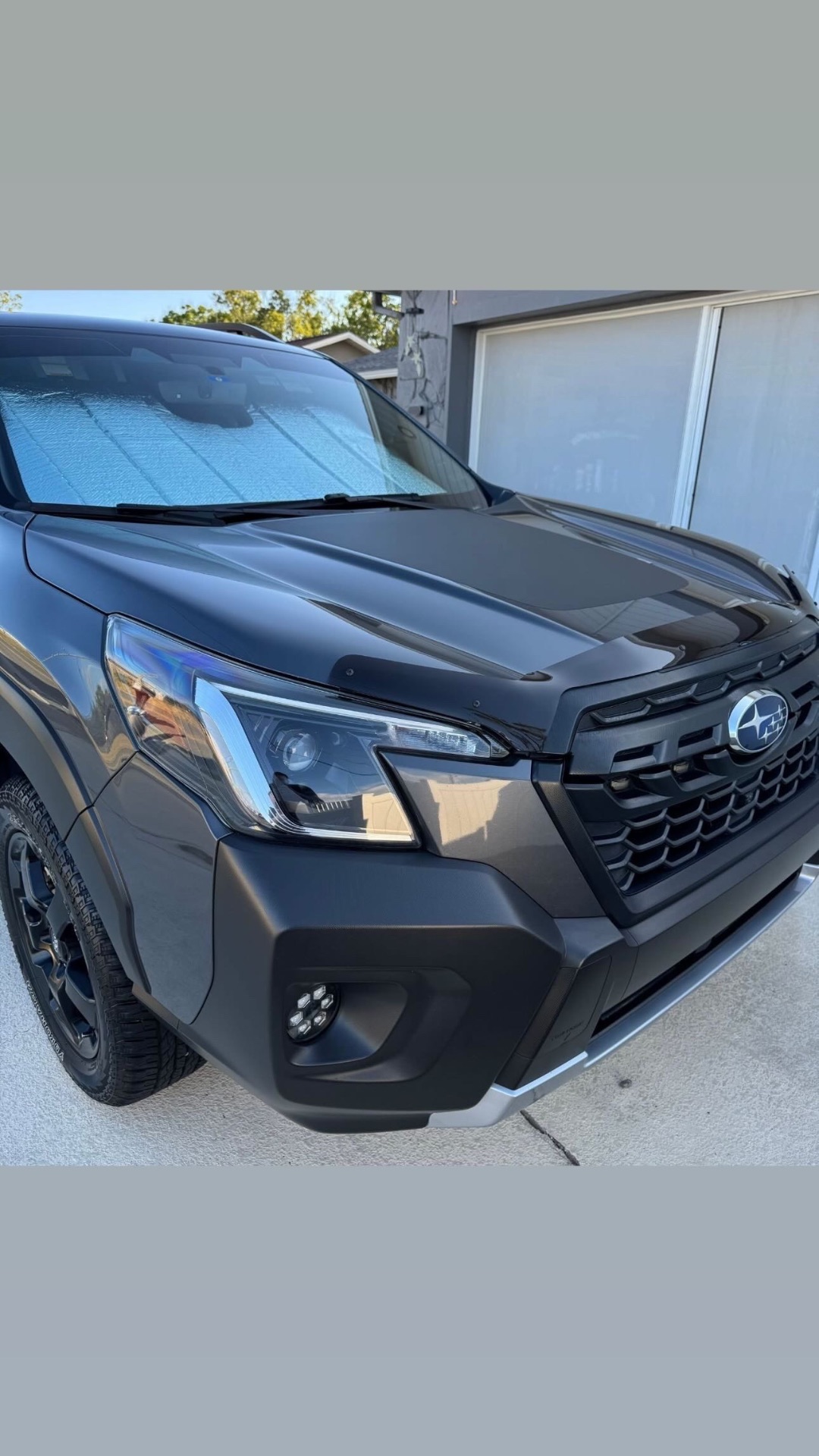 Exterior & Bug Removal after