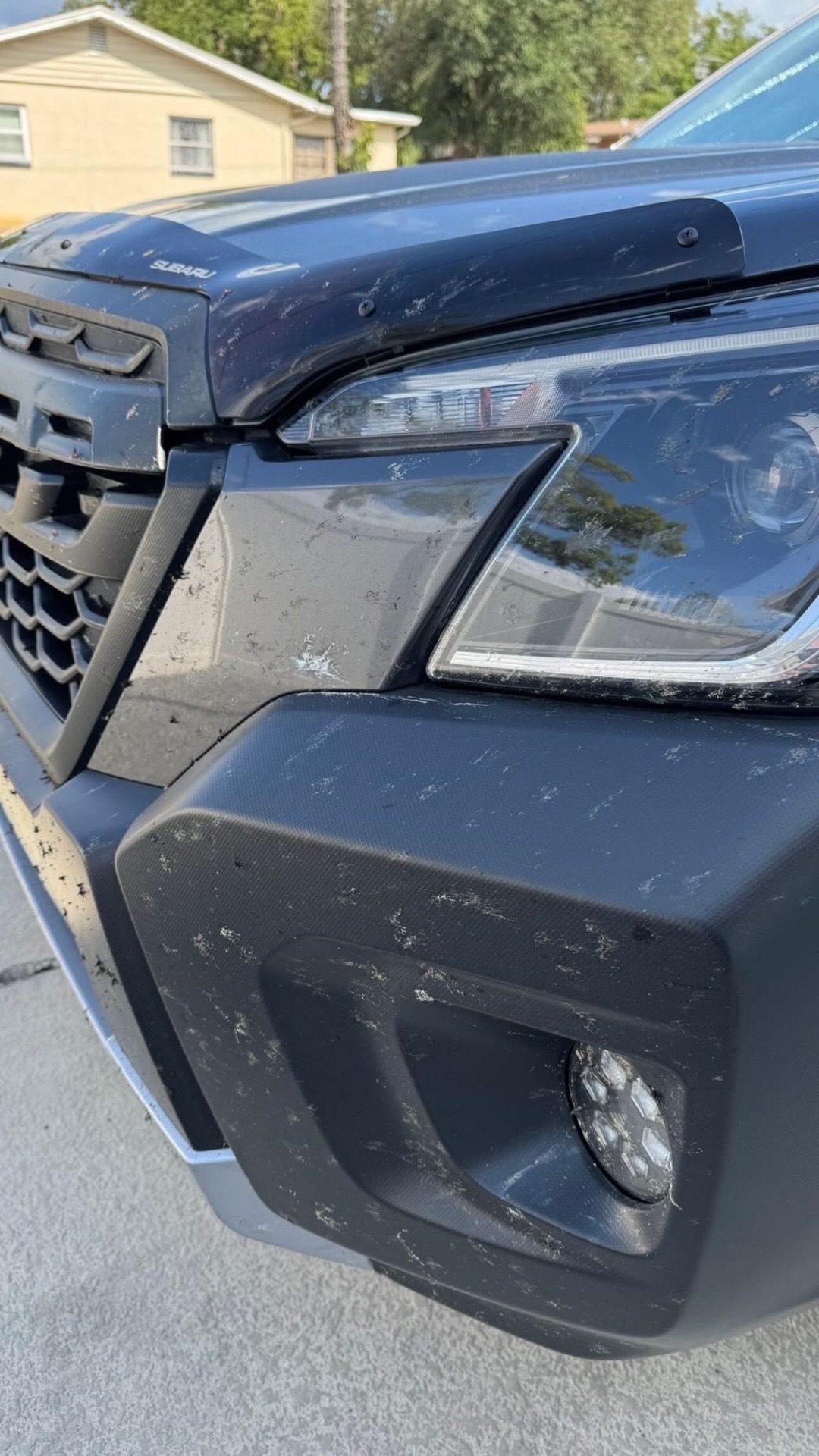 Exterior & Bug Removal before